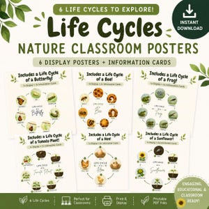 May include: A set of six educational posters titled Life Cycles Nature Classroom Posters, featuring circular diagrams for a butterfly, bee, frog, tomato plant, hen, and sunflower. Each poster includes descriptive text and illustrations of life stages.