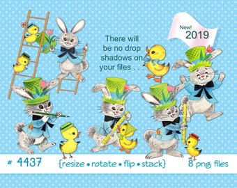Baby Chick Growth Chart