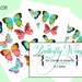 Printable Butterfly Wings for Craft Projects Angel Wings, Fairy Wings ...