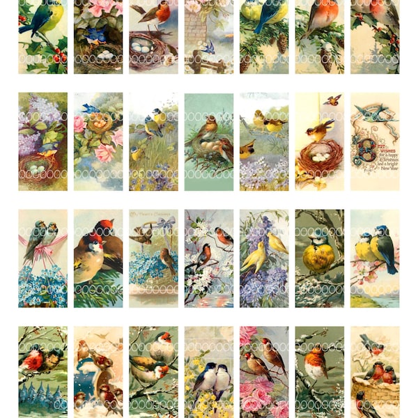 1 by 2 inch domino collage sheet,  vintage birds, nests eggs flowers robins bluebirds, 8.5 by 11, Digital Collage Sheet 25x50 mm