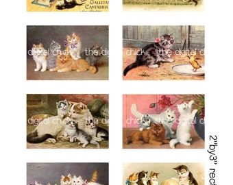 Digital clipart, instant download, Vintage Cat and Kitten Images--litter of kittens, kitties--Digital Collage Sheet (8.5 by 11 inches)   690