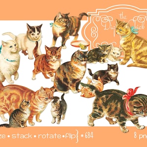 Vintage Kitten Clipart: Orange Tabby, Angora, Calico (PNG, JPEG Files)