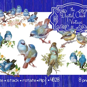 Vintage Vogel Clipart, druckbare sofortigen digitalen Download, Vogel ClipArt, Drosseln, Blumen, Vögelchen--8 PNG-Dateien 4628