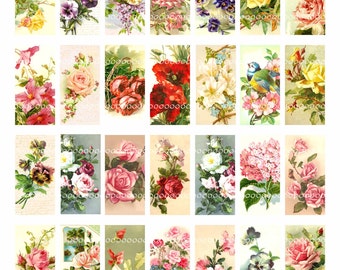 1 by 2 domino collage sheet, instant download, roses, pansy, birds, vintage roses, flowers, florals, 8.5 by 11, Digital Collage Sheet 1471