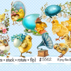 Vintage Wielkanoc Cyfrowe Clipart, natychmiastowe pobieranie, Wielkanocne kurczaki, jajka, kwiaty, wierzba, fiołki, konwalia--pliki PNG 5562