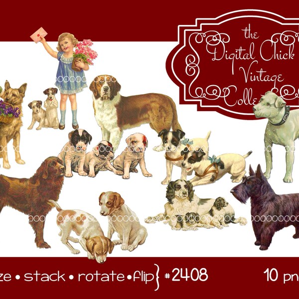 Digital Clipart, instant download, vintage puppy images, puppy dog, Scottie, St Bernard, Newfie, pit bull, Shepard  printable png files 2408