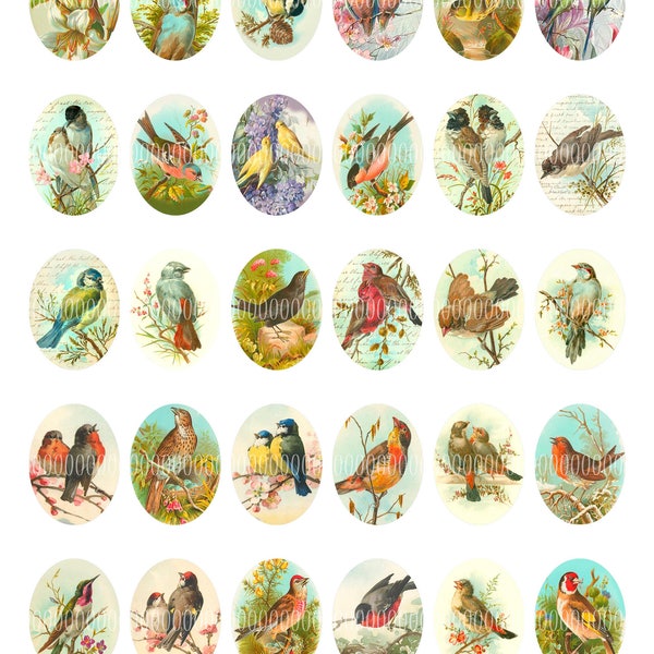 Cabochons ovales imprimables, images vintage, camée, pendentif 30mm par 40mm oiseaux, oiseaux chanteurs, rouges-gorges, alouettes--8.5 par 11--Feuille de collage numérique 4037