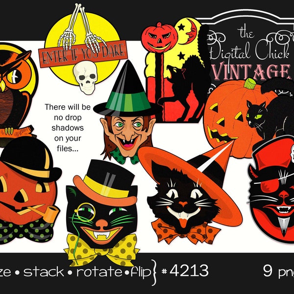 Digital Clipart, Vintage Halloween Clipart--Pumpkins, Black Cats, Witch, skull, owl, jack-o-lantern--PNG Files--9 Images 4213