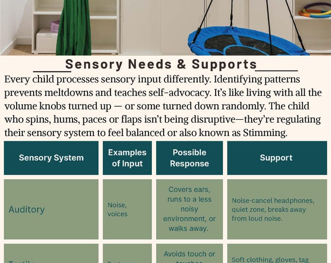 Sensory Needs and Support Packet | Printable PDF | Regulation - Sensory Strategy Toolkit for Kids