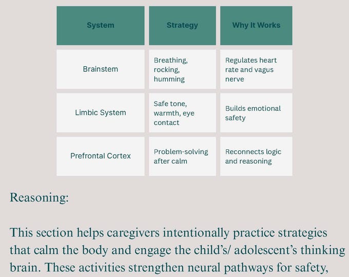 Brain-Based Worksheets | Printable PDF | Emotional Regulation & Connection Tools