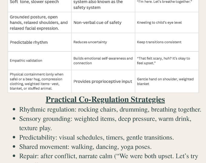 Emotional Regulation Guide | Co-Regulation Strategies for Kids | Therapist and Parent Printable Packet