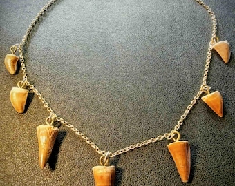 Dinosaur Teeth Jewelry
