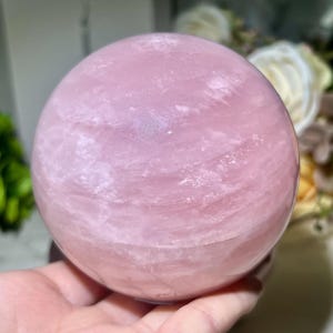 以下が含まれることがあります： 大きく磨かれたローズクォーツの球体。球体は柔らかなピンク色で、微妙な色の濃淡と質感があります。表面は滑らかで反射性があり、内部の模様が見えます。球体は手で持たれており、背景はぼやけています。