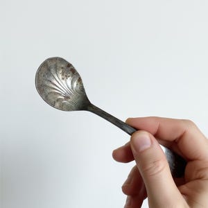 May include: A small, antique silver spoon with a decorative shell-like pattern on the bowl. The spoon is held in a hand against a white background. The spoon's handle is dark, and the bowl shows signs of age.