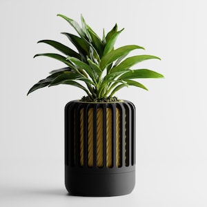 May include: A houseplant in a black pot. The pot has a cylindrical shape with vertical black bars and a gold-coloured interior. The plant has large, green leaves. The pot's base is solid black, creating a modern look.