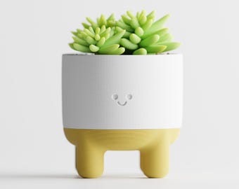 Suckulentkruka med smileyansikte | Glad liten kruka med ben | Rolig skrivbordsaccessoar