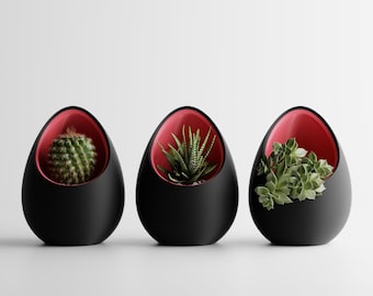 Maceta de escritorio nido moderna / Decoración minimalista para el hogar / Maceta única para suculentas (Reino Unido)