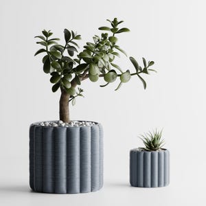 May include: Two potted plants. The larger one has a thick trunk and green leaves, planted in a blue-grey, ribbed pot filled with small white stones. The smaller plant is in a matching pot. The background is white.