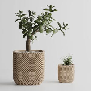Op de afbeelding: Twee beige vierkante plantenbakken met een rasterontwerp. De grotere plantenbak bevat een jadeplant met groene bladeren en een bruine stam. De kleinere plantenbak bevat een vetplant. Beide staan op een wit oppervlak.