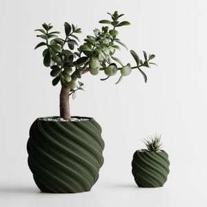 May include: Two green spiral-patterned plant pots, one large and one small, each containing a different plant. The larger pot holds a jade plant with green leaves and a brown trunk. The smaller pot holds a succulent. The background is white.