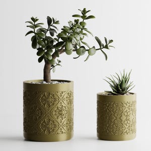 Pode incluir: Dois vasos cilíndricos verde-oliva com padrões florais. Um vaso contém uma planta de jade, o outro uma suculenta. Os vasos estão sobre um fundo branco, destacando o design decorativo.