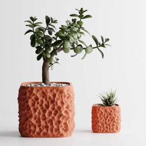 Può includere: Due fioriere quadrate color terracotta con superfici strutturate. La fioriera più grande contiene una pianta di giada con foglie verdi e un tronco marrone. La fioriera più piccola contiene una piccola succulenta. Entrambe su sfondo bianco.