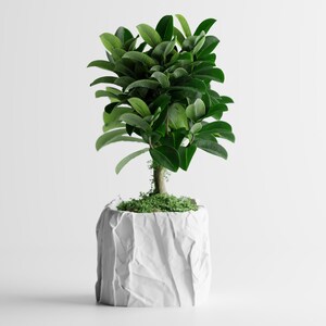 Crumpled White Faux Paper Pot | Modern Sculptural Planter for Small Trees & Houseplants