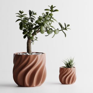 Pode incluir: Duas floreiras cor de terracota, com design em espiral, uma grande e outra pequena, cada uma com uma planta suculenta diferente. O vaso maior contém uma planta de jade com folhas verdes pequenas e redondas.