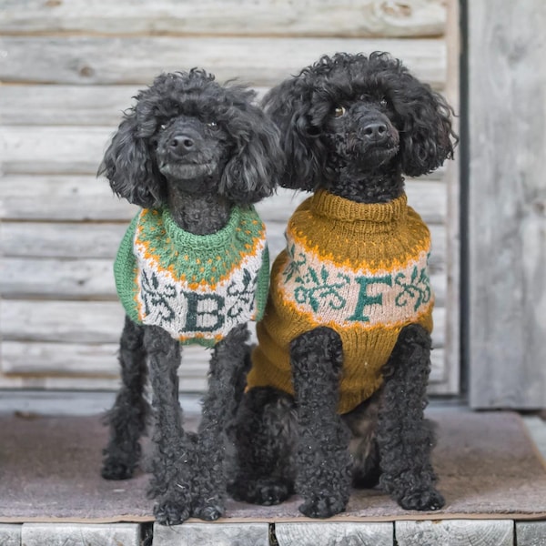 Personalized Dog Sweater Knitting Pattern. Digital download PDF.