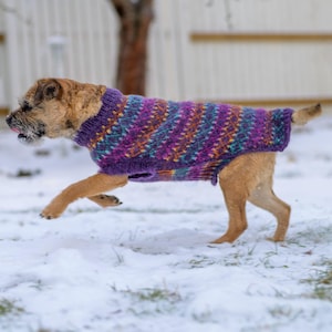 May include: A small tan dog wearing a colorful knitted sweater with purple, blue, and orange stripes, running through the snow. The dog is in mid-stride, with its paws off the ground, and its tongue is visible.