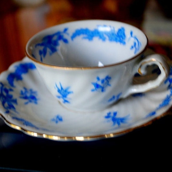 1930 Vintage, deutsches dünnes Porzellan, winziges Mokkatassen-Set, Tasse und Untertasse mit blauem botanischem Muster. Von KPM Cleo.