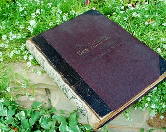 Religiöses Vintage 1895 OriginalBuch " Das Neue Testament , illustriert und erklärt." Von N.D. Thompson Publishing Co, New York.
