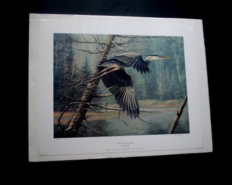 Wildlife vintage 1995, original, lithograph, limited edition# 294/500, signed, art  print"Sharing Opening Day" by Bruce Langton.