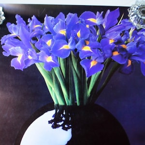 Peut inclure: Image d'un bouquet d'iris bleus aux accents jaunes, disposé dans un vase noir. Les fleurs ont des tiges vertes et se détachent sur un fond bleu foncé. Deux boutons de verre décoratifs sont aux coins supérieurs.