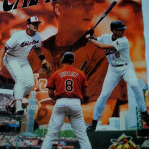 1995 Vintage , Rare Lithograph, Sport Photo Poster