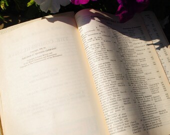 ビンテージ　HOLY BIBLE 聖書　2冊セット ビンテージ HOLY BIBLE 聖書 2冊セット