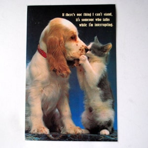 May include: A white and brown dog with a red collar is nuzzling a grey and white kitten. The image has the text "If there's one thing I can't stand, it's someone who talks while I'm interrupting."