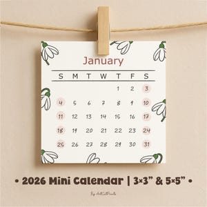 Può includere: Un piccolo calendario quadrato di gennaio 2026, tenuto da una clip di legno. Il calendario presenta uno sfondo bianco con accenti floreali e un layout mensile. Il testo "Gennaio" è bordeaux. Disponibile in dimensioni di 7,6x7,6 e 12,7x12,7 cm.