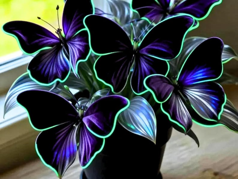 May include: A close-up of a potted plant with several large, stylized butterflies. The butterflies have black wings with purple and blue accents, outlined in a bright green. The plant's leaves are green and silver.