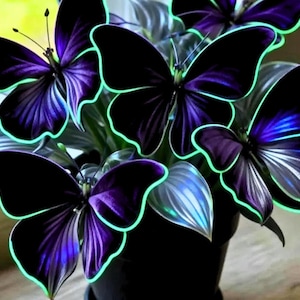 May include: A close-up of a potted plant with several stylized butterflies. The butterflies have black wings with purple and blue accents, outlined in a bright green. The leaves are green and silver.