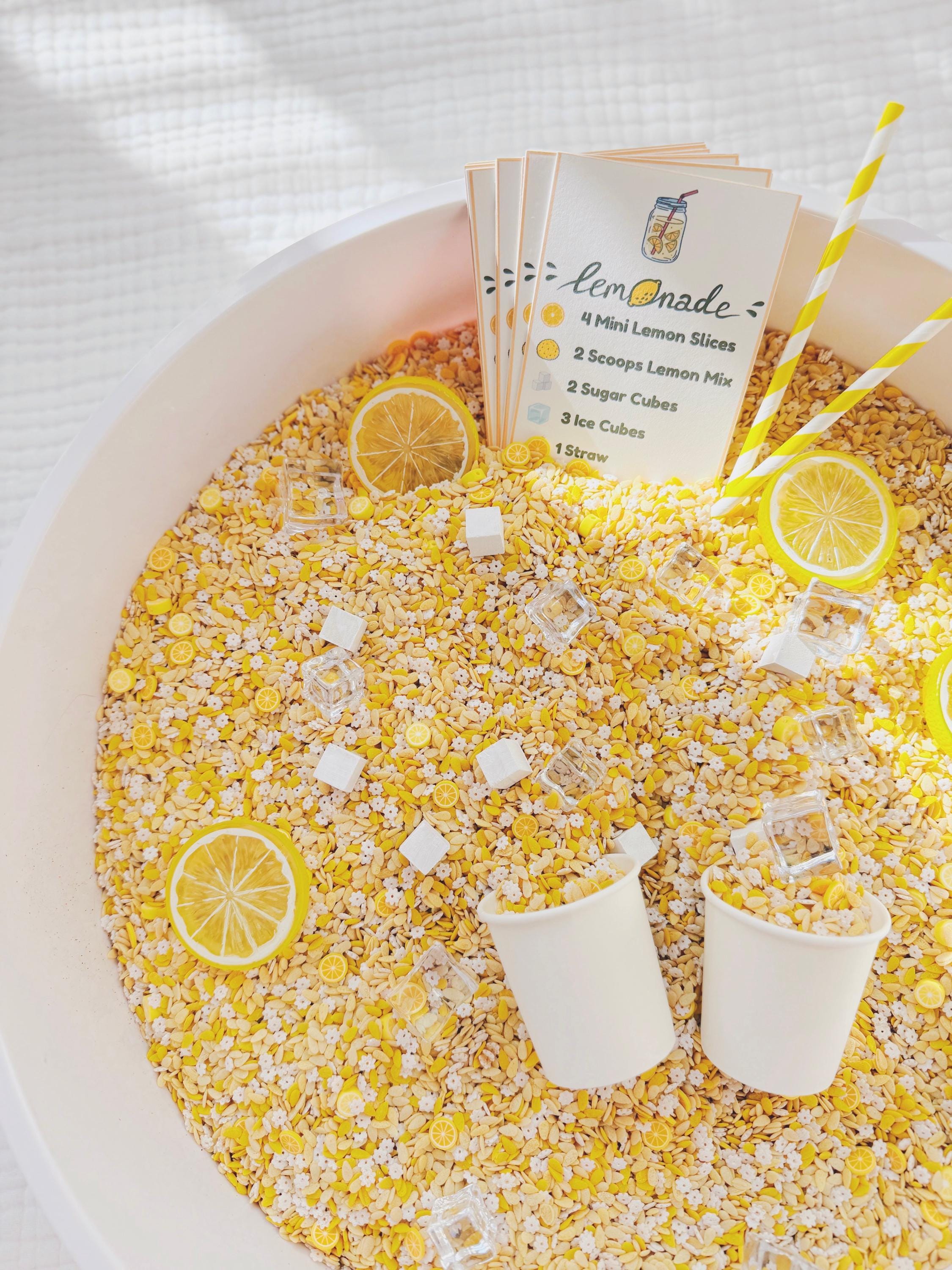 Lemonade Stand Sensory Play Kit | Sensory Bin Kit for Pretend and ...