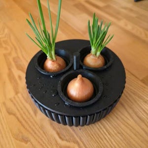 Germinador de sementes – Verduras frescas o ano todo!