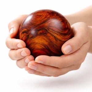 Op de afbeelding: Een houten bol, ongeveer 7 cm in diameter, met een diepe roodbruine tint en gedetailleerde nerfpatronen. De bal wordt in komvormige handen gehouden, waarbij de natuurlijke houtpatronen tegen een witte achtergrond worden benadrukt.