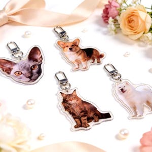 May include: A collection of clear acrylic keychains featuring detailed images of a cat, a corgi, a Maine Coon cat, and a Samoyed dog. Each keychain has a silver-colored clasp and is surrounded by pearls and flowers.
