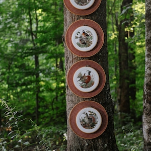 May include: Four circular embroidery hoops mounted on a tree trunk. Each hoop contains a white fabric panel featuring a detailed illustration of a different game bird, framed by a larger, rust-colored circular backing with a small white dot pattern.