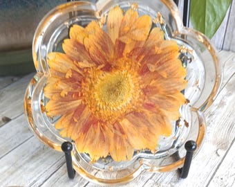 Handgjorda Gerbera Daisy Resin Coasters, Pressad Blommor Resin Konst, Botanisk Gåva Set med 2 Epoxi Blommor Underlägg, Resin Konst