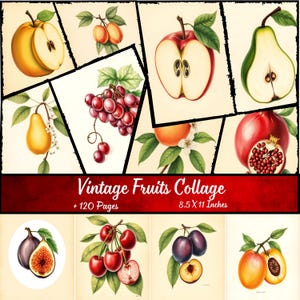 Puede incluir: Un collage de ilustraciones de frutas vintage, que incluye manzanas, peras, uvas y ciruelas. La obra de arte presenta representaciones detalladas de cada fruta, con un enfoque en sus texturas y colores. El texto "Vintage Fruits Collage" se muestra en una pancarta roja, junto con "+ 120 Pages" y "8.5 X 11 Inches".