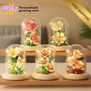 Pode incluir: Cinco arranjos florais decorativos sob cúpulas de vidro. As flores são em tons de rosa, branco e laranja, com folhagem verde. Cada arranjo assenta sobre uma base branca. A imagem inclui o texto "FREE! Personalized greeting card".