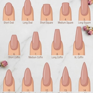Puede incluir: Una gu&iacute;a de formas de u&ntilde;as con catorce ilustraciones numeradas de u&ntilde;as manicuradas en color nude de varias longitudes y estilos, incluyendo formas ovaladas, cuadradas, bailarina, almendradas y stiletto, con el texto NAIL SHAPE GUIDE arriba.