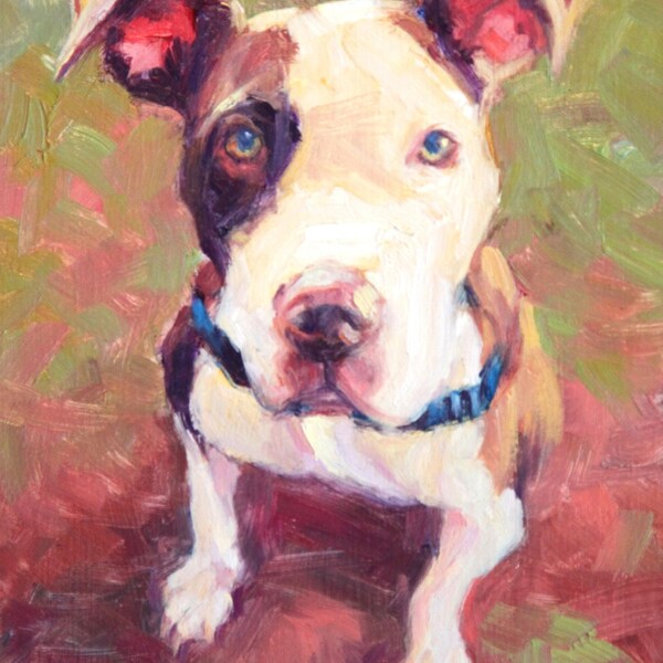 Pit Bull Custom Pet Dog Portrait Oil Commission Painting from Photo 6" x 8" Impressionist Wall Art Unique Gift For Dog Lover By Kim Stenberg